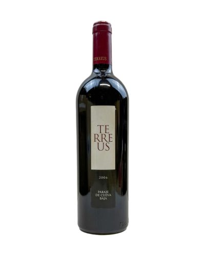 Bodegas Mauro Terreus Paraje de Cueva Baja 2006 — Tudela de Duero, 0.75 L